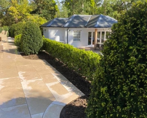 local tree surgery work in Reading