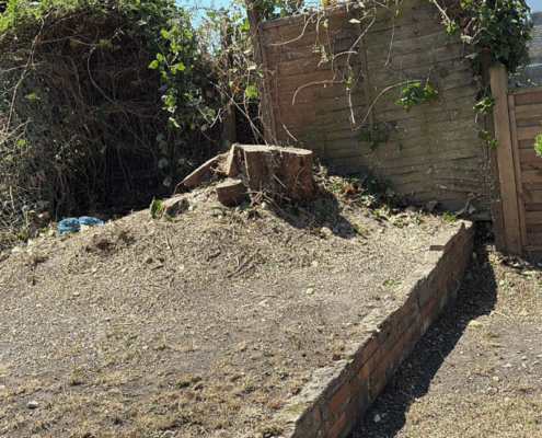 Garden Clearance in Eastleigh by Gecko Tree Surgeons