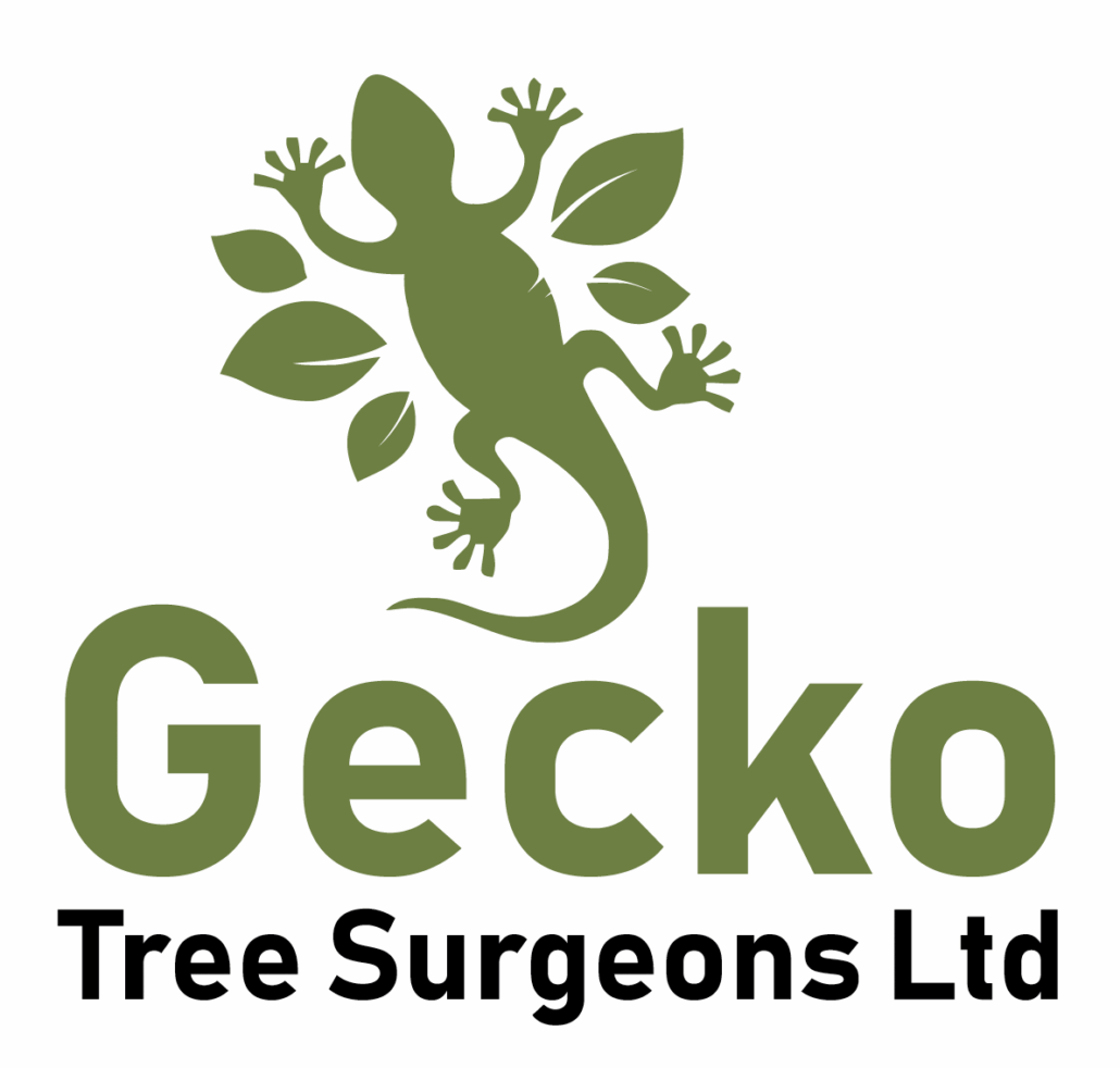 Gecko Tree Surgeons Ltd