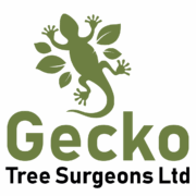 Gecko Tree Surgeons Logo