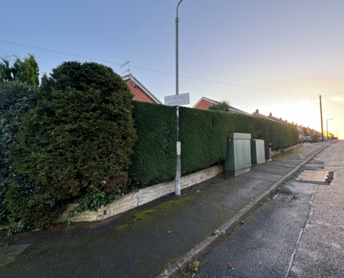 Hedge Trimmed in Eastleigh by Gecko Tree Surgeons