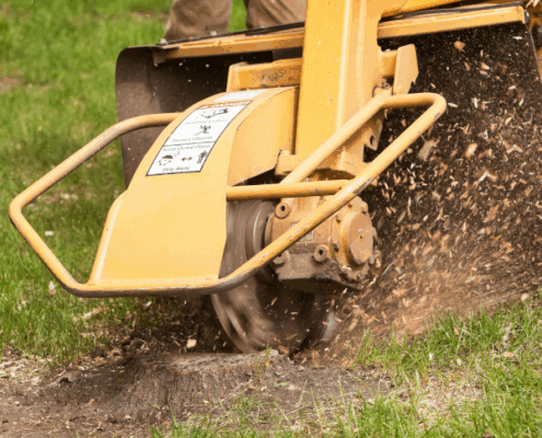 stump grinding services Southampton