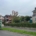 Hedge Trimming in Winchester by Gecko Tree Surgeons