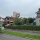 Hedge Trimming in Winchester by Gecko Tree Surgeons