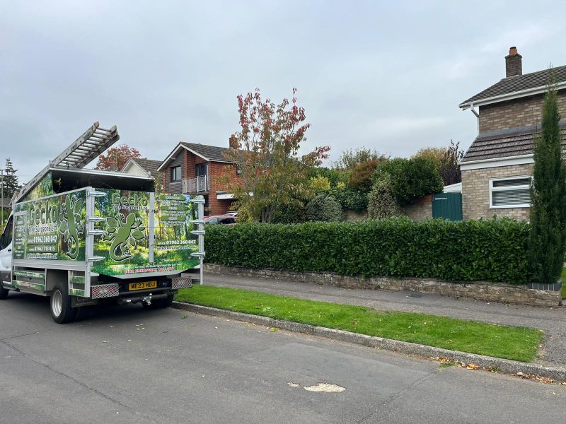 cutting-trees-fareham