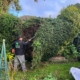 hedge trimming completed near Winchester