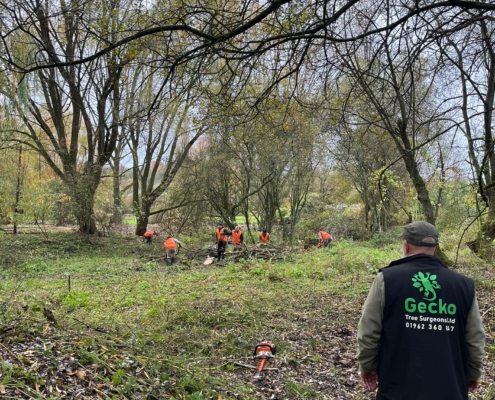 hedges and scrub clearance in Winchester