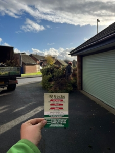 hedge removed in Winchester