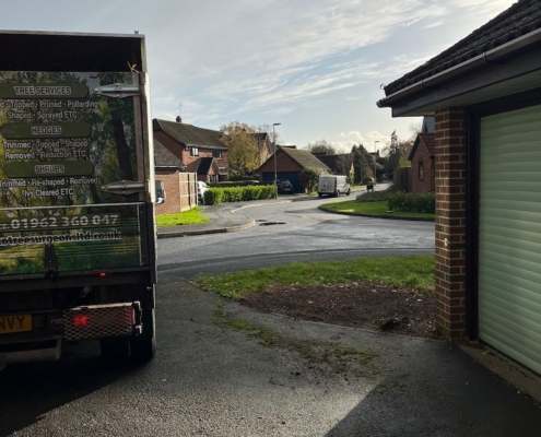 hedge removed in Winchester by Gecko Tree Surgeons