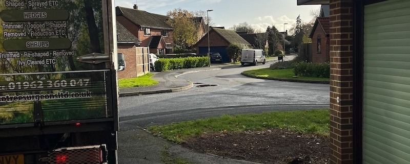 hedge removed in Winchester by Gecko Tree Surgeons